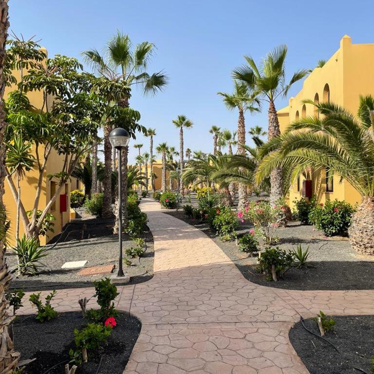 Casa DENNY - Oasis Papagayo - Apartamento de 1 dormitorio - 18
