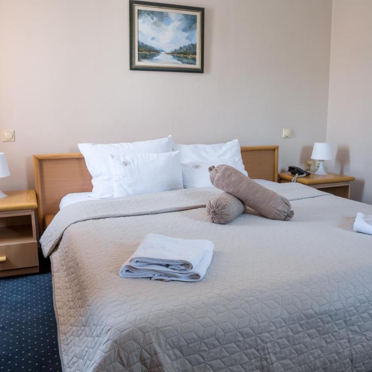 Garni Hotel Panorama Lux - Standardna Dvokrevetna Soba sa Bračnim Krevetom - 3