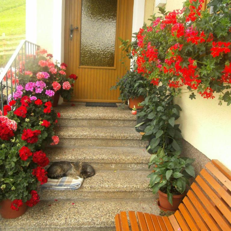 Haus Erika - Apartment mit 2 Schlafzimmern und Bergblick - 55