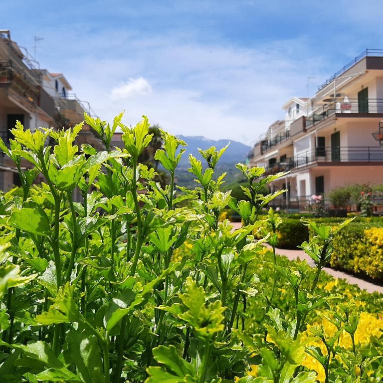 Al giardino Sant'Anna - Appartamento - 14