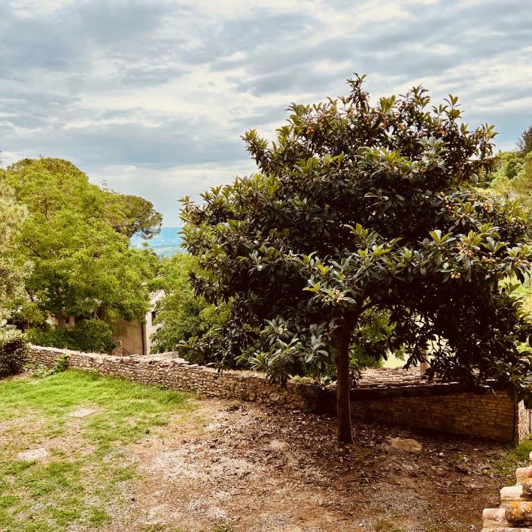 Le Fonti di San Gimignano - One-Bedroom Apartment - 5