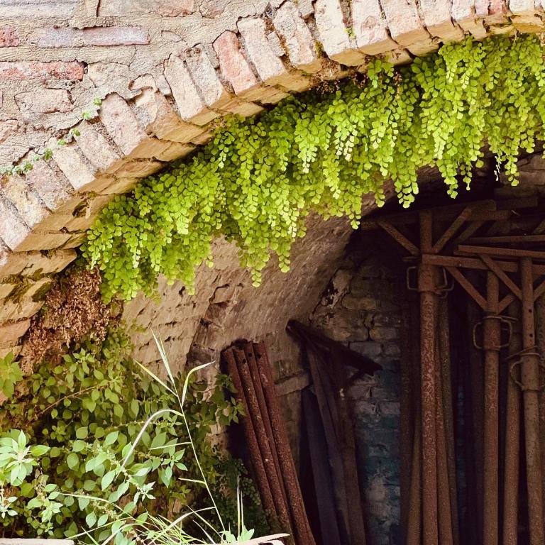 Le Fonti di San Gimignano - One-Bedroom Apartment - 12
