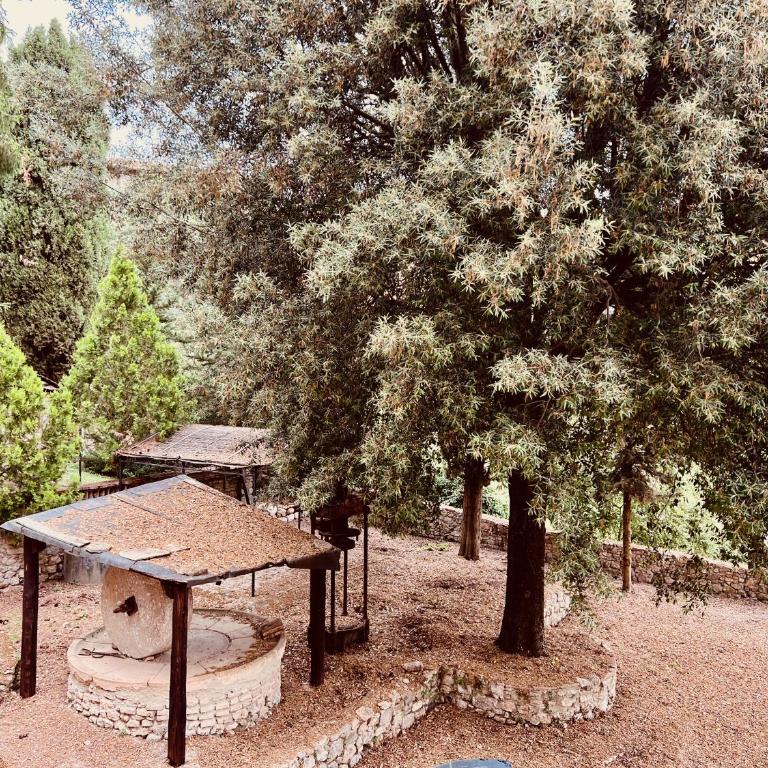 Le Fonti di San Gimignano - One-Bedroom Apartment - 16