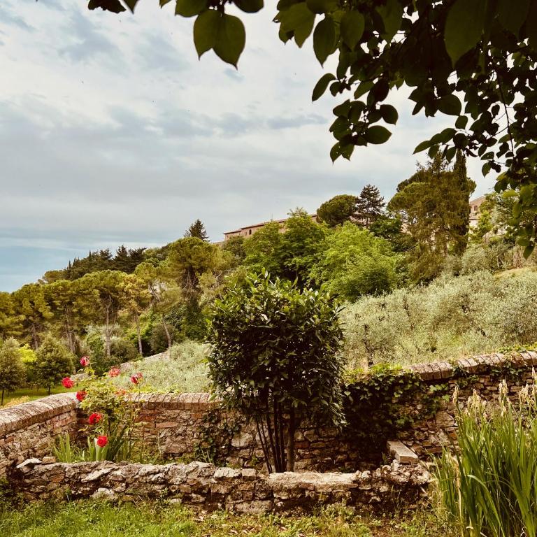 Le Fonti di San Gimignano - One-Bedroom Apartment - 17