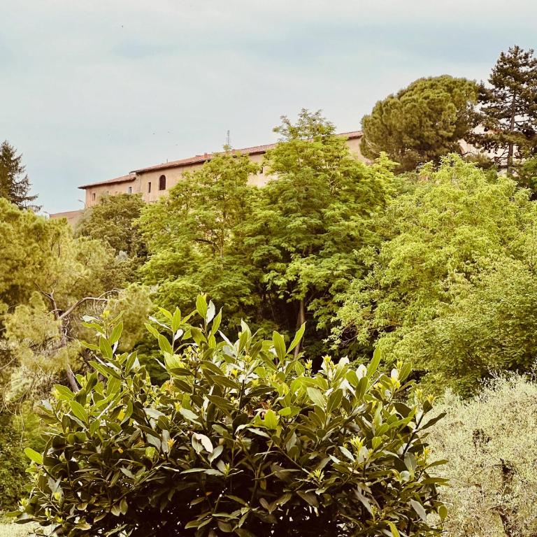 Le Fonti di San Gimignano - One-Bedroom Apartment - 24