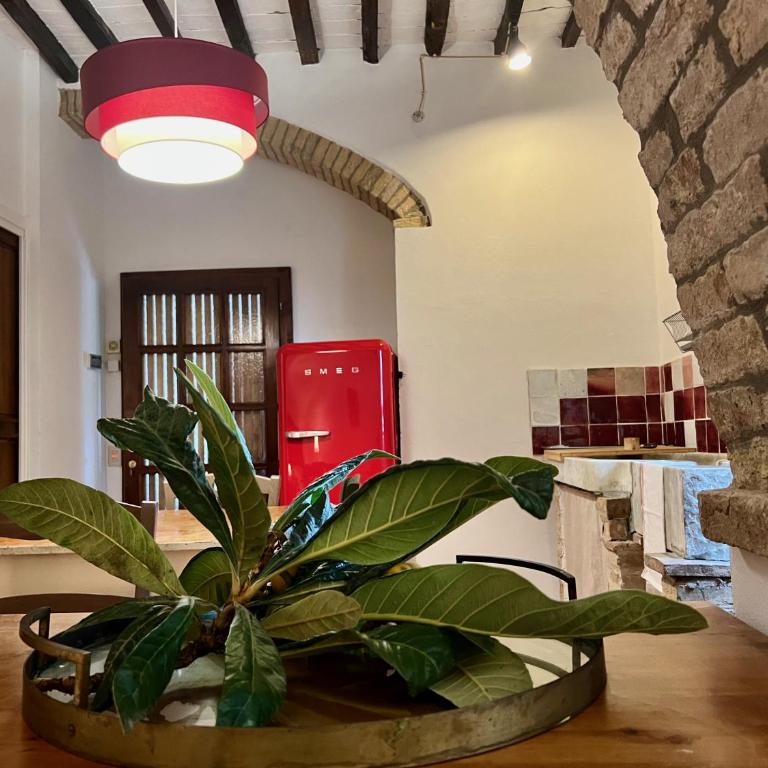 Le Fonti di San Gimignano - One-Bedroom Apartment - 1