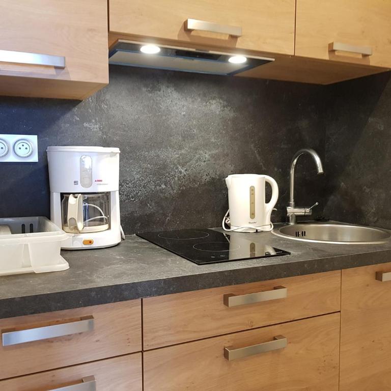 Studio confortable pour 3 pers. avec vue sur le Mont-Blanc - FR-1-411-697 - Studio - 2