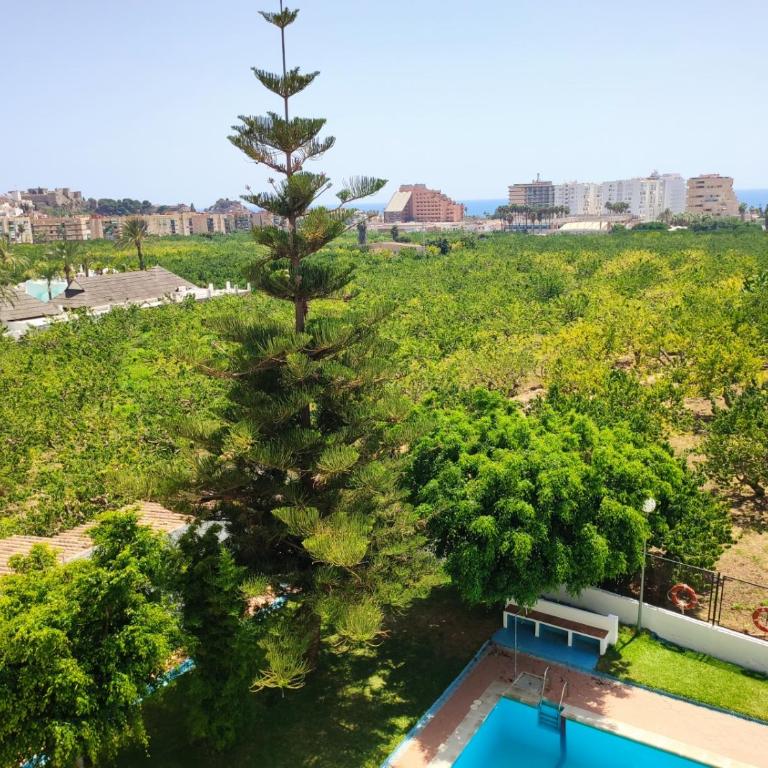 LAS PALMERAS - Apartamento de 2 dormitorios - 3
