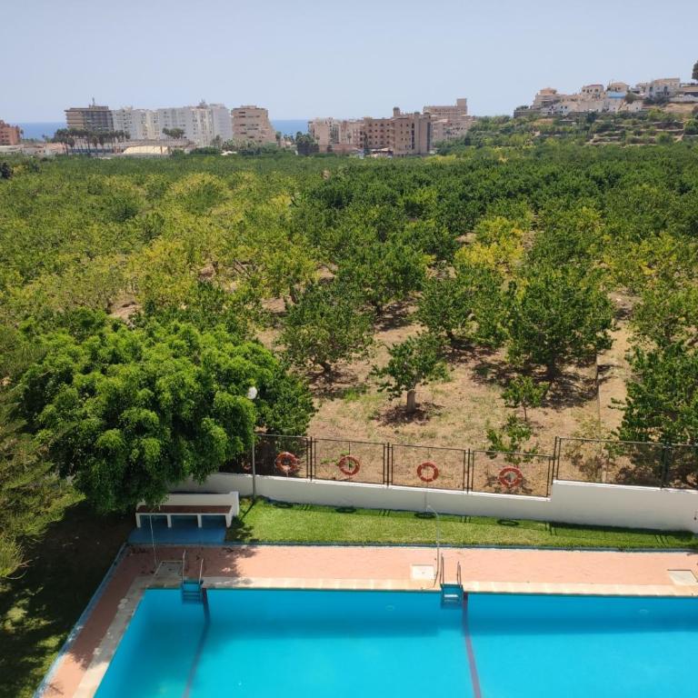 LAS PALMERAS - Apartamento de 2 dormitorios - 31