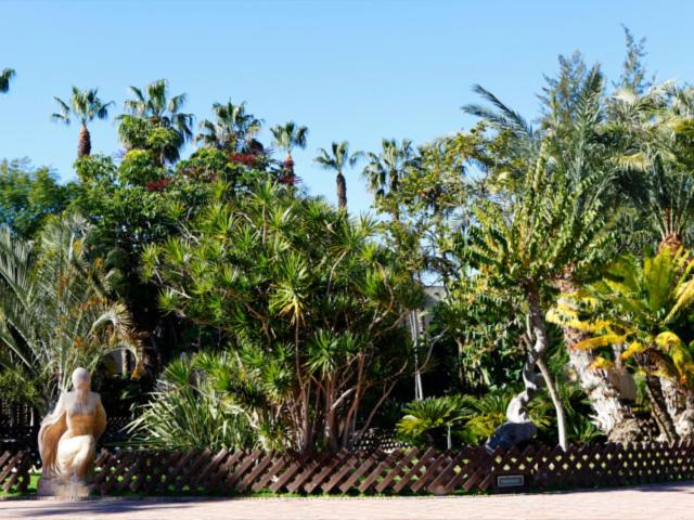LAS PALMERAS - Apartamento de 2 dormitorios - 39