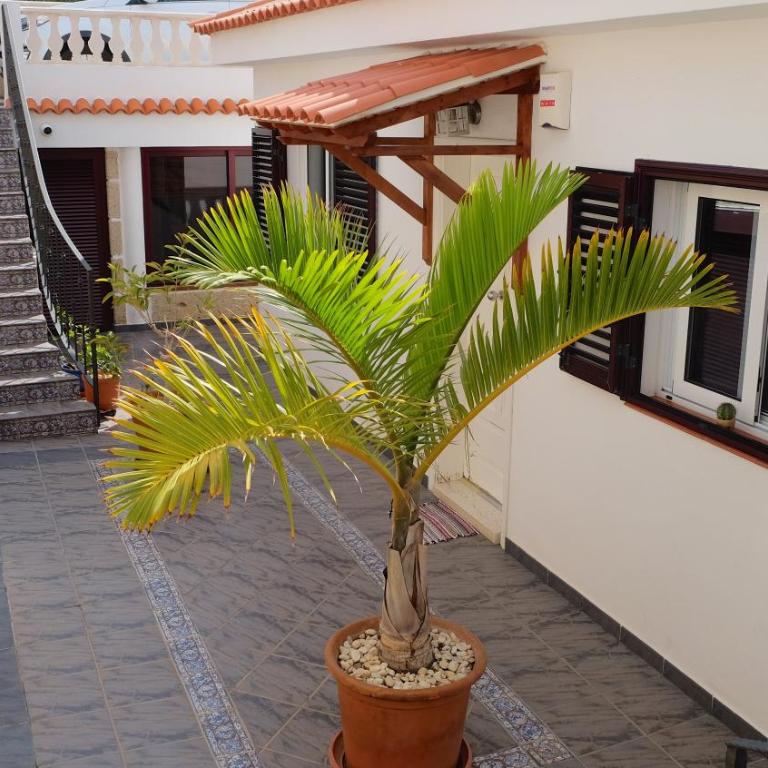 La Marieta - Casa de 3 dormitorios - 4