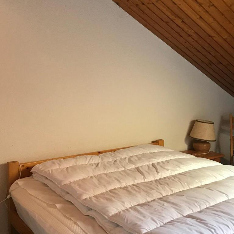 Duplex spacieux avec balcon, accès direct pistes, proche commerces, équipé pour 6 pers. - FR-1-181-2471 - Appartement - 2