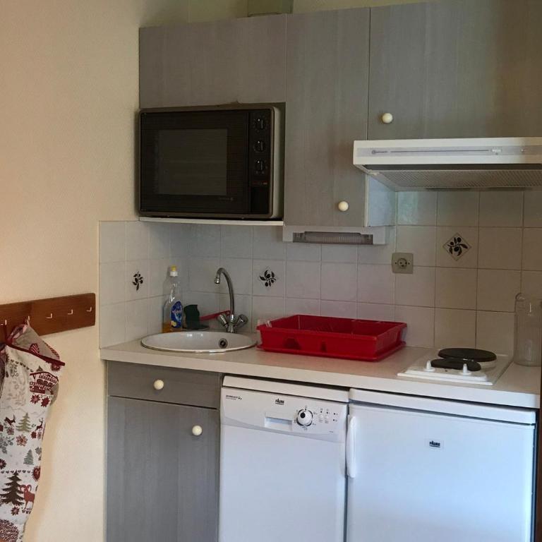 Duplex spacieux avec balcon, accès direct pistes, proche commerces, équipé pour 6 pers. - FR-1-181-2471 - Appartement - 3