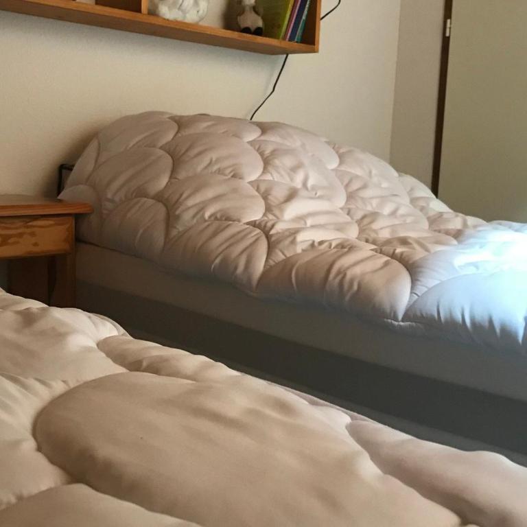 Duplex spacieux avec balcon, accès direct pistes, proche commerces, équipé pour 6 pers. - FR-1-181-2471 - Appartement - 8