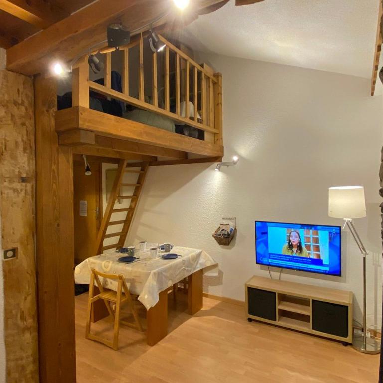 Studio cosy à la montagne avec accès direct aux pistes - 4 personnes - FR-1-181-2478 - Studio - 4