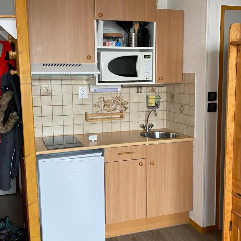 Studio cosy, accès direct pistes, proche commodités - FR-1-181-2505 - Studio - 2