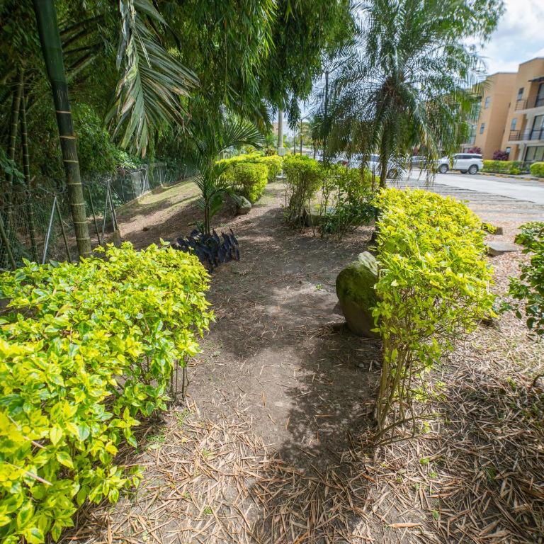 Acogedor fresco iluminado rodeado de naturaleza apartasol en el Quindío - Apartamento de 2 dormitorios - 19