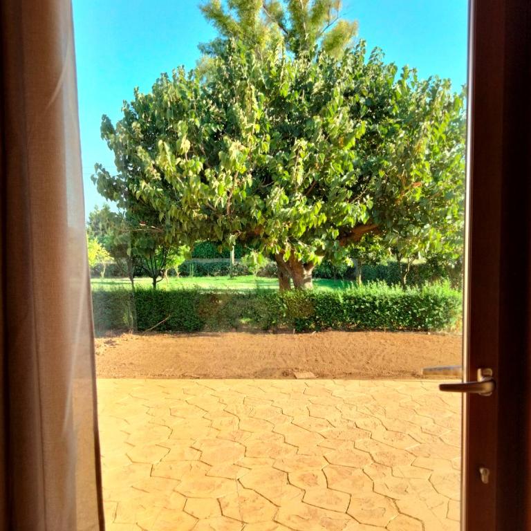 Agriturismo i doni del mandorlo - Camera King con Vista Giardino - 2
