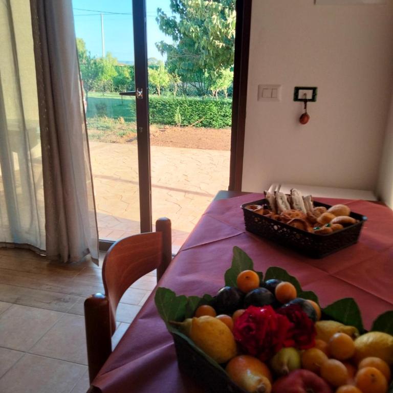Agriturismo i doni del mandorlo - Camera King con Vista Giardino - 5