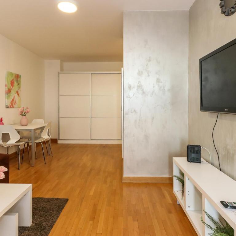 New Belgrade Apartment Lavina, parking 5 evra dan - Apartman sa Balkonom (2 Odrasle Osobe + 2 Deteta) - 11