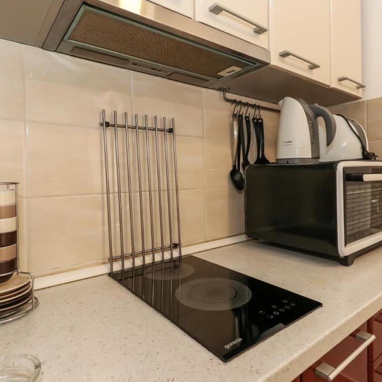 New Belgrade Apartment Lavina, parking 5 evra dan - Apartman sa Balkonom (2 Odrasle Osobe + 2 Deteta) - 12