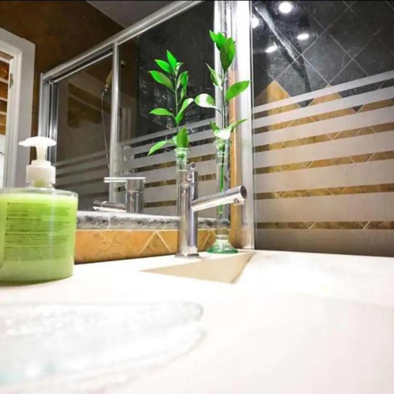 Typical Sevillan 2 bedroom unit - Villa de 2 dormitorios - 9