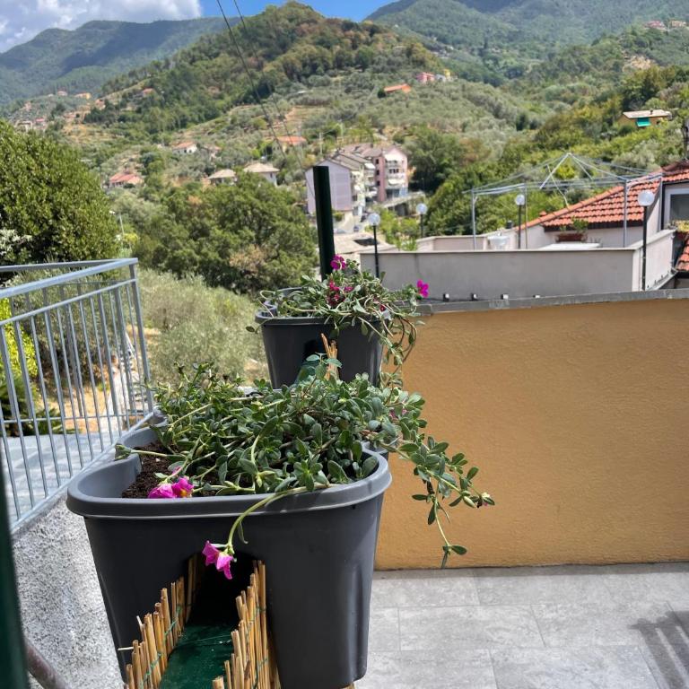 Cà di GIACO - Appartamento con Terrazza - 45