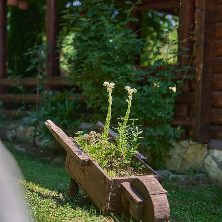 Country House Brijest - Vila sa Pogledom na Vrt - 25