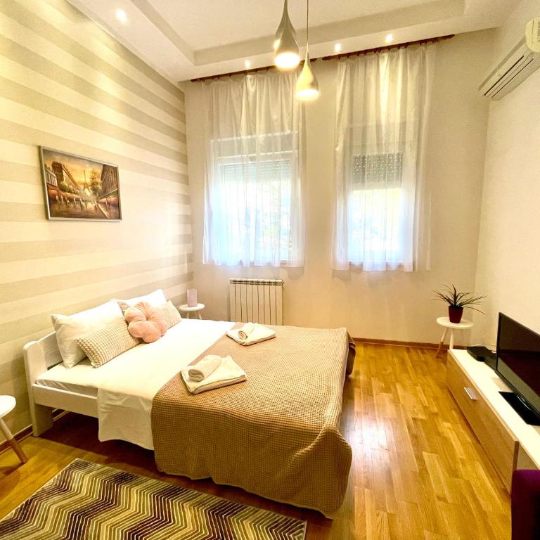 DORA stan na dan Novi Beograd Savada Blok A, parking 5 evra dan - Studio Apartman - 2