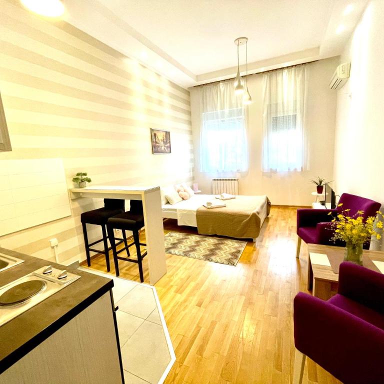 DORA stan na dan Novi Beograd Savada Blok A, parking 5 evra dan - Studio Apartman - 3