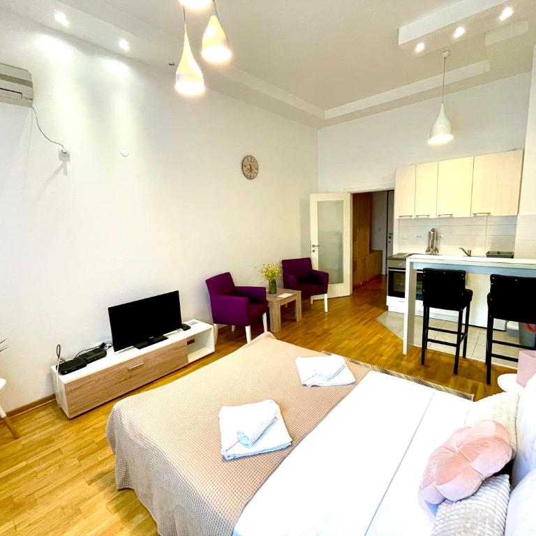 DORA stan na dan Novi Beograd Savada Blok A, parking 5 evra dan - Studio Apartman - 4