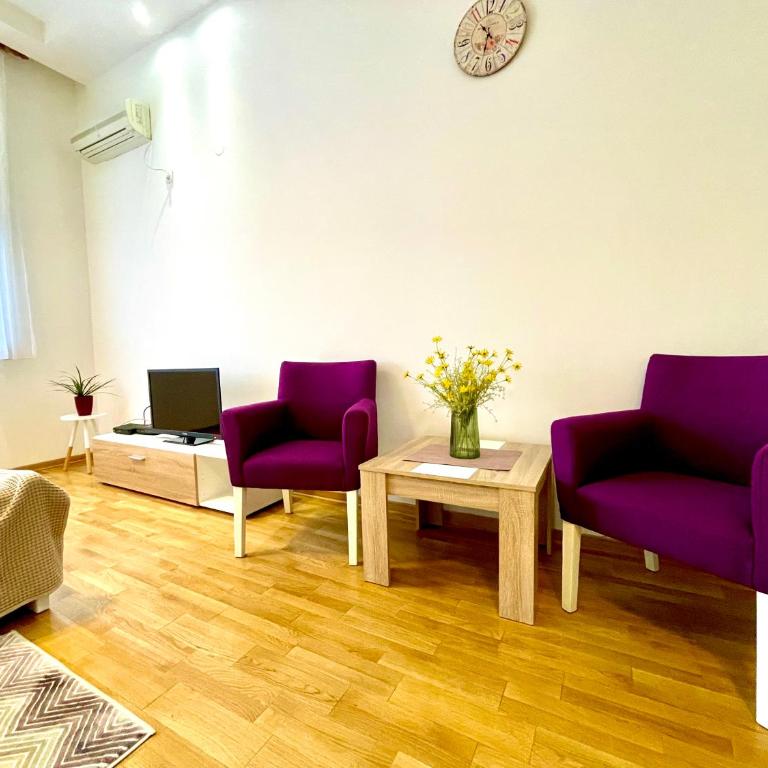 DORA stan na dan Novi Beograd Savada Blok A, parking 5 evra dan - Studio Apartman - 5