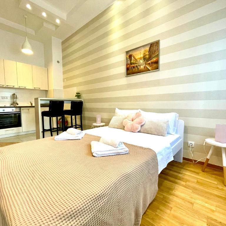 DORA stan na dan Novi Beograd Savada Blok A, parking 5 evra dan - Studio Apartman - 6