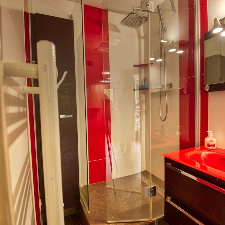 Confortable appartement à Morillon 1100 pour 5 pers, TV, animaux admis - Appartement 1 Chambre - 5