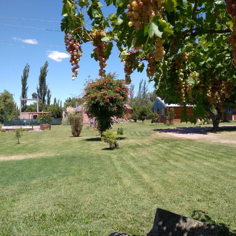 Cabaña La Palloza - Casa - 44