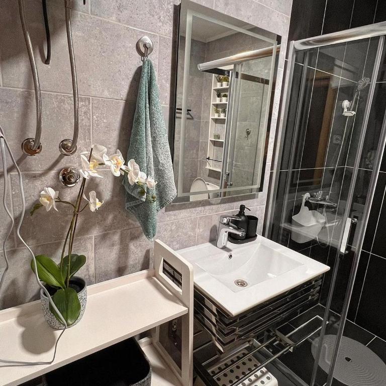 bloom_apartman - Apartman sa 1 Spavaćom Sobom - 10