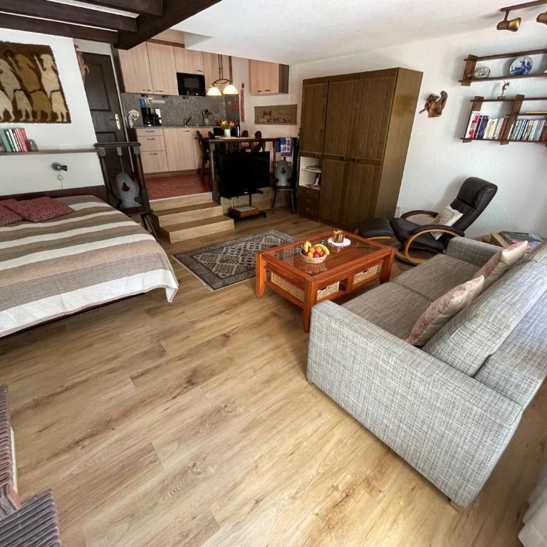 Haus Oasis - Estudio - 6