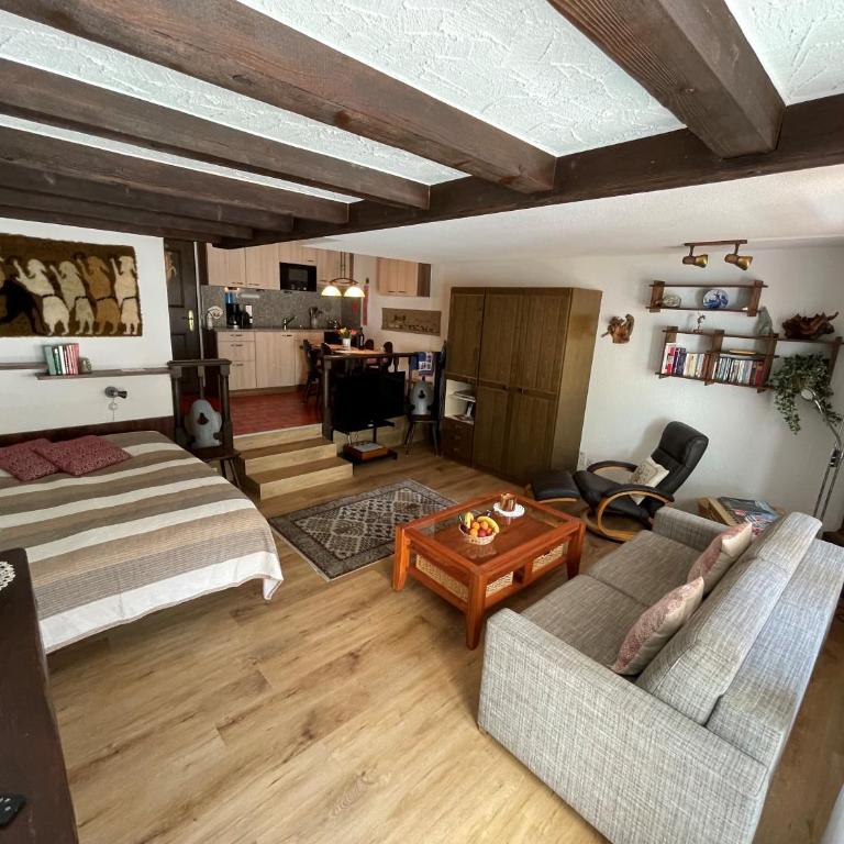 Haus Oasis - Estudio - 12