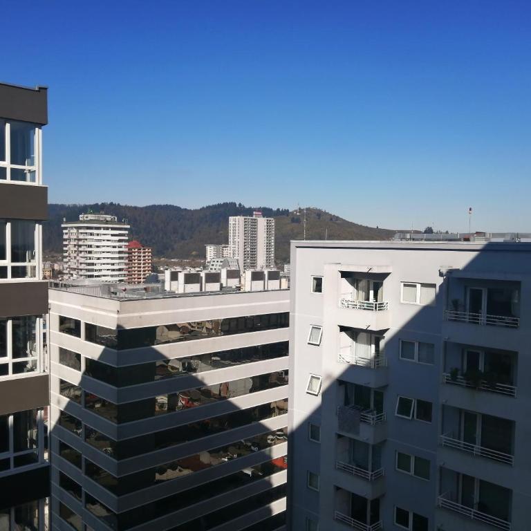 Claro Centro Temuco - Apartamento de 1 dormitorio - 20