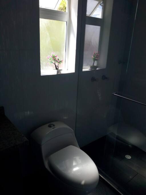 Agradable casa para alojamiento completo CURITI - Apartment - 27