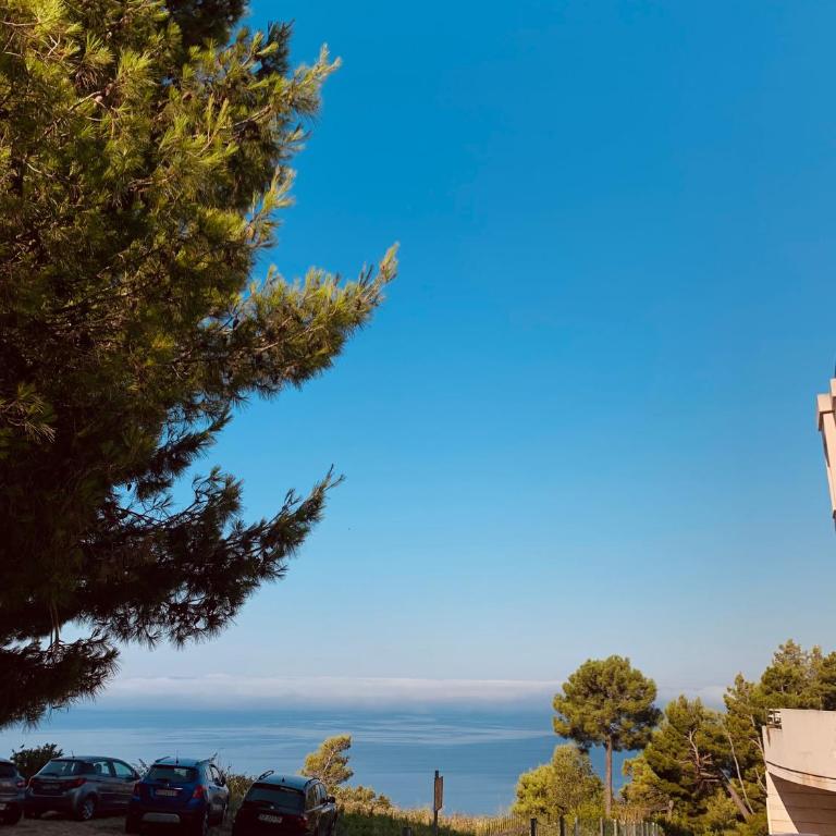 Apartman Drago Sveti Stefan - Apartman sa Pogledom na More - 13