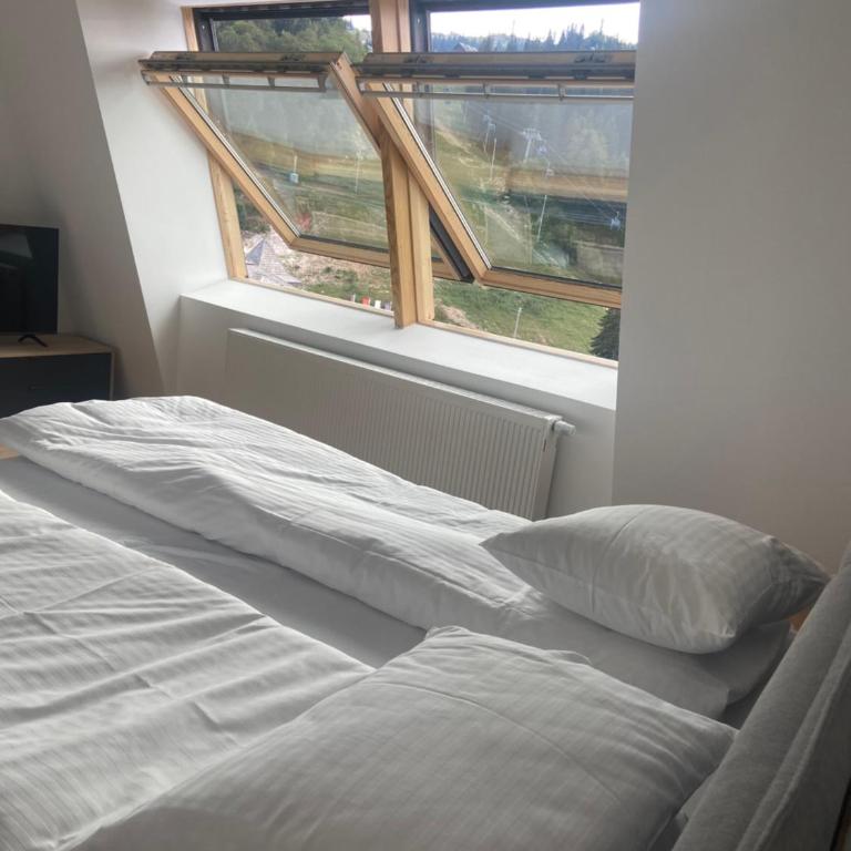 Penthouse Eleni - Olimpijska Kuca Jahorina - One-Bedroom Apartment - 25