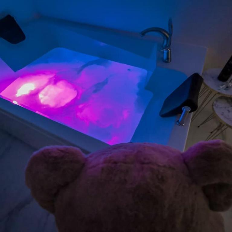 Teddy Bear Jacuzzi Spa Apartment Sarajevo - One-Bedroom Apartment - 28