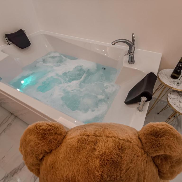 Teddy Bear Jacuzzi Spa Apartment Sarajevo - One-Bedroom Apartment - 29