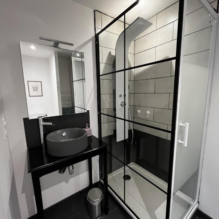 Studio Cosy proche Gare et Centre Ville - Appartement 1 Chambre - 24