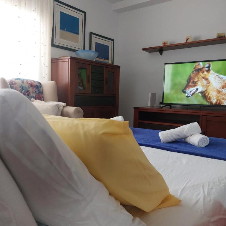 Torremolinos Apartment in MÁLAGA SUN & BEACH - Two-Bedroom Apartment - 30