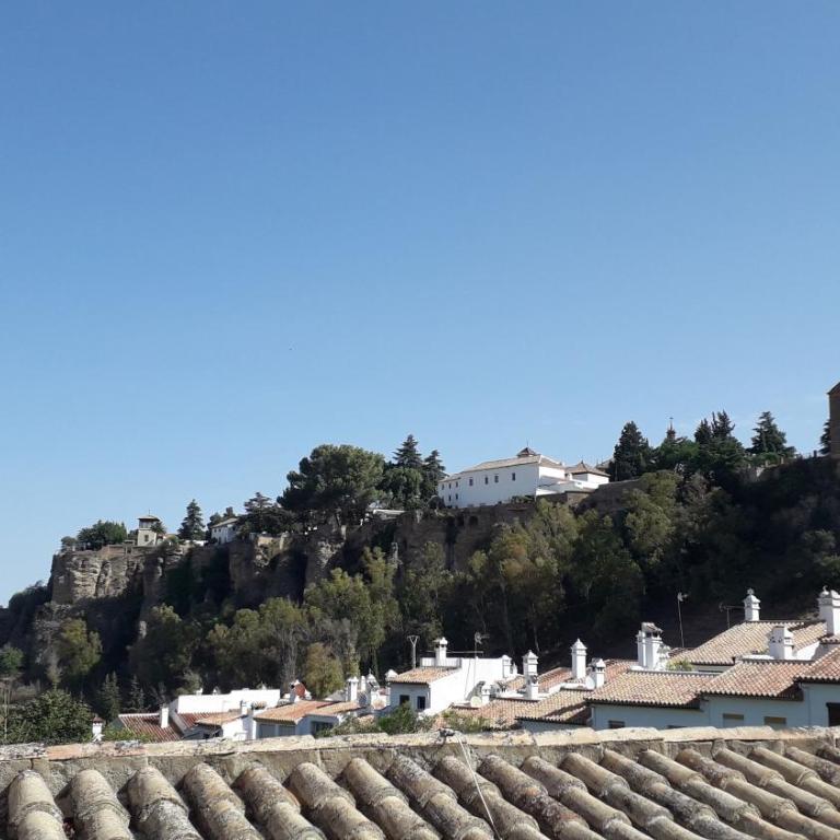 Piso Blanco - Apartamento de 2 dormitorios - 10