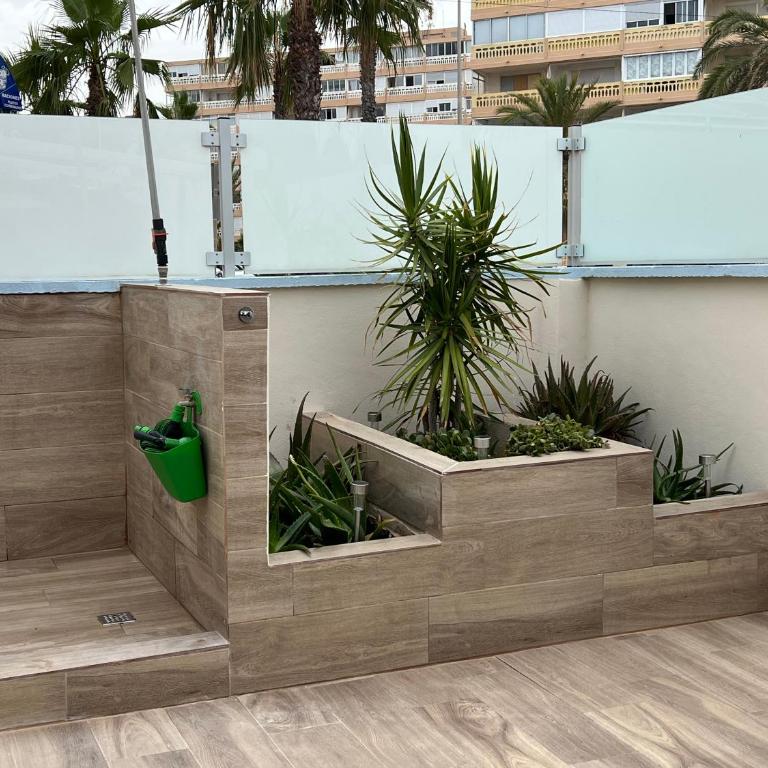 Seaside home Torrevieja - LaMata - Apartamento - 6