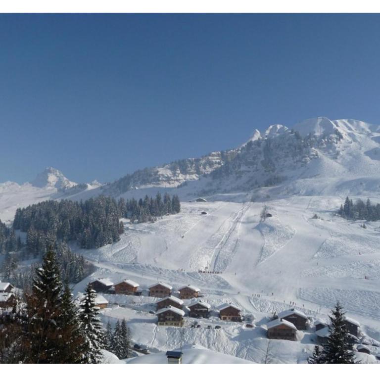 Le Samance 2 - Chalet - 31