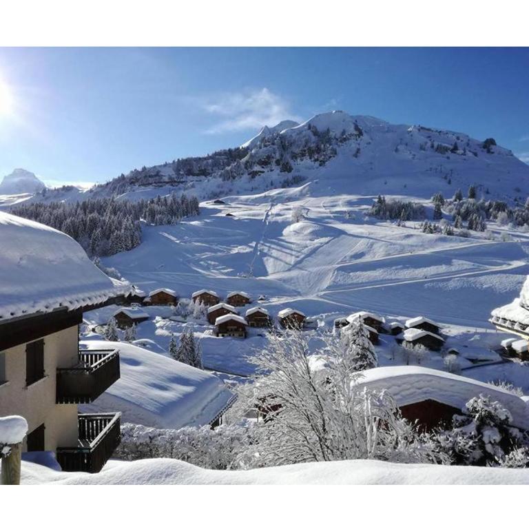 Le Samance 2 - Chalet - 30